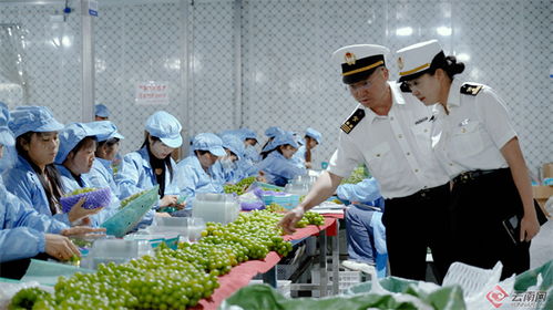 大理州2023年外貿(mào)進(jìn)出口總值大幅增長78.8%，農(nóng)產(chǎn)品出口表現(xiàn)亮眼