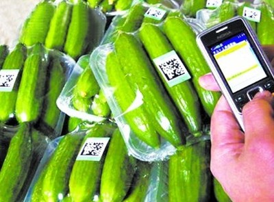 探索“掃碼觀菜、冷鏈出菜”新模式 讓農產品更安全直達餐桌